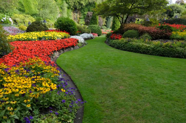 thiet ke san vuon 7 - 8 Nguyên tắc cơ bản trong thiết kế sân vườn