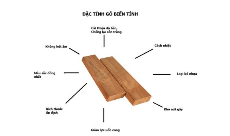 go bien tinh - Gỗ biến tính là gì? Đặc trưng, ứng dụng và ưu nhược điểm loại gỗ này