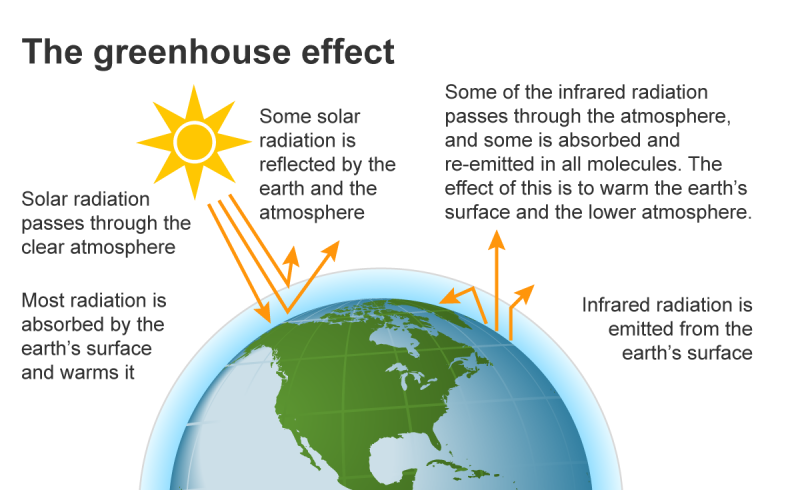 Greenhouse effect hieu ung nha kinh 800x492 - hiệu ứng nhà kính là gì