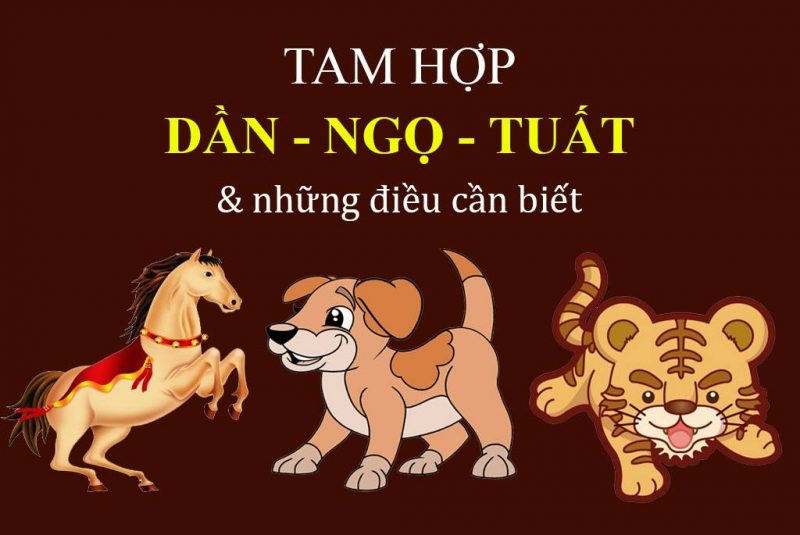 dan ngo tuat 800x535 - Tìm hiểu ý nghĩa của nhóm tam hợp Dần Ngọ Tuất là gì ?