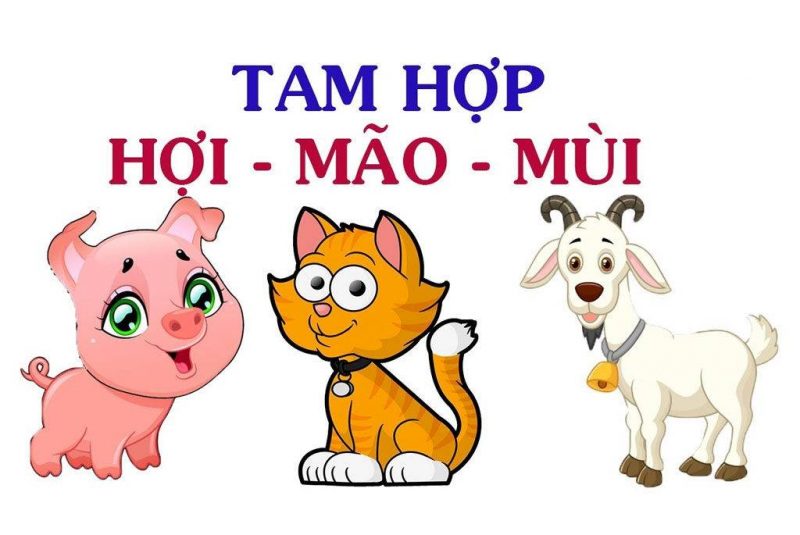 hoi mao mui 800x535 - Tìm hiểu ý nghĩa của nhóm tam hợp Hợi Mão Mùi là gì ?