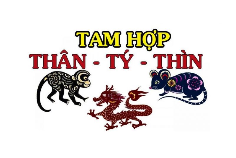 than ty thin 800x535 - Tìm hiểu ý nghĩa của nhóm tam hợp Thân Tý Thìn là gì ?