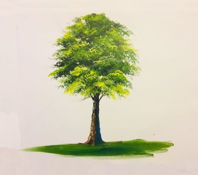 Những bước cách vẽ cây xanh cho người mới học