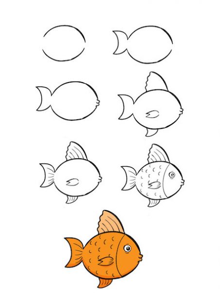 ve con ca 452x600 - Hướng dẫn cách vẽ con cá đơn giản với 9 bước cho bé tập tô màu