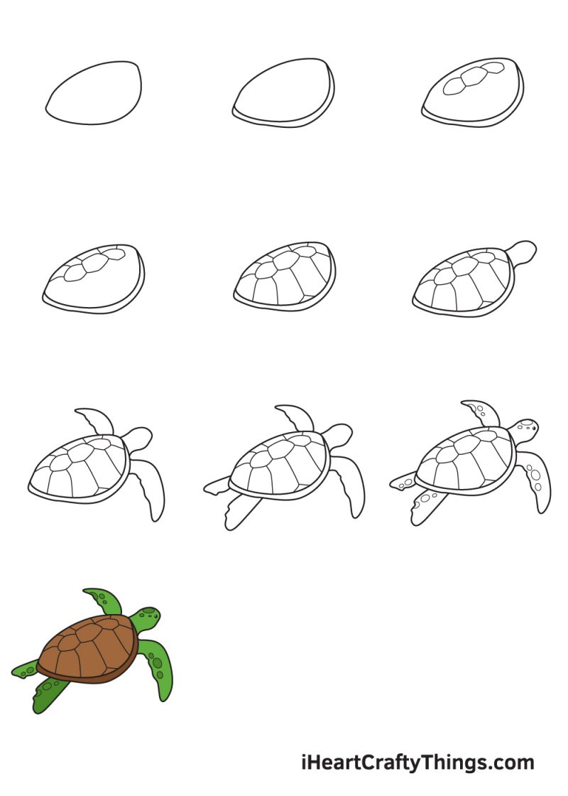 Xem hơn 100 ảnh về hình vẽ con rùa  NEC