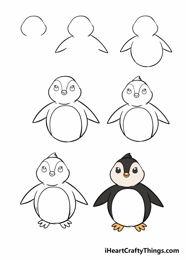 ve chim canh cut e1634390567678 - Hướng dẫn cách vẽ chim cánh cụt đơn giản với 7 bước cơ bản