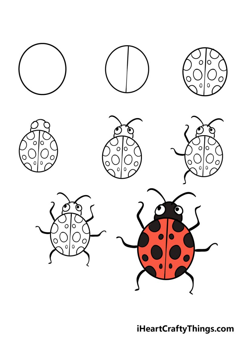 Hướng dẫn Cách vẽ con bọ rùa đơn giản với 8 bước dễ dàng