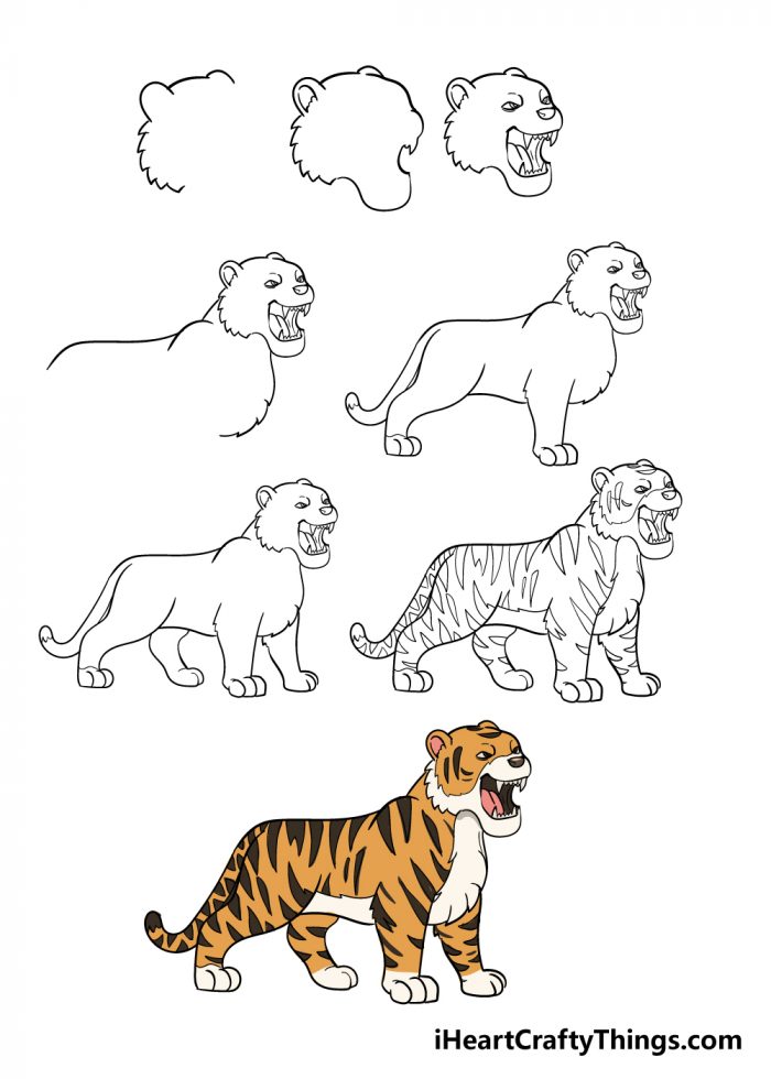 Vẽ con hổ đơn giản dễ thương  Cách vẽ con hổ cute  YouTube