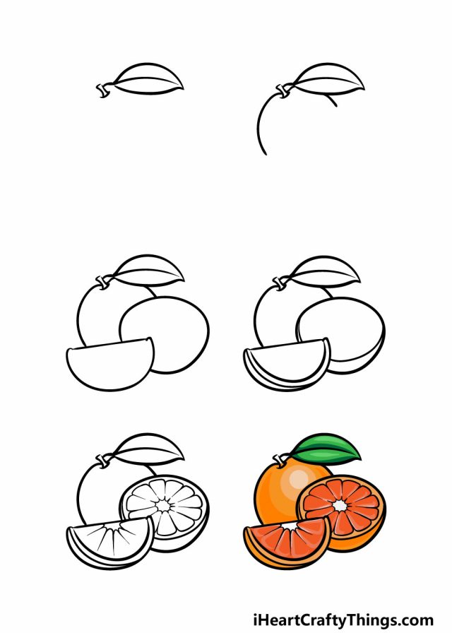 ve qua cam e1633511432988 - Hướng dẫn cách vẽ quả cam đơn giản với 6 bước cơ bản