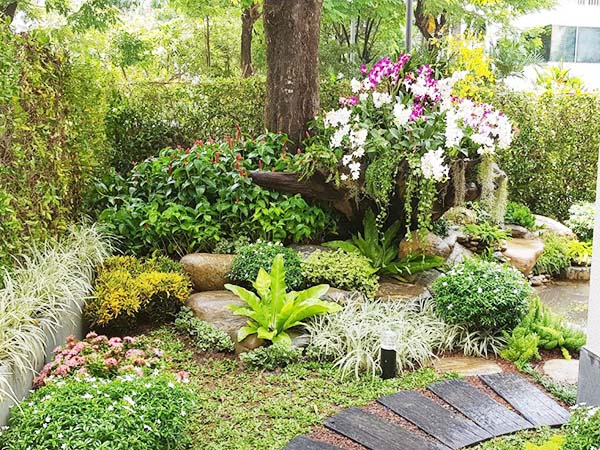 cai tao tieu canh san vuon - 1001+ Mẫu tiểu cảnh, sân vườn trước nhà đẹp ấn tượng 2023