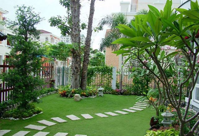 cay canh san vuon biet thu 12 - Những loại cây cảnh sân vườn biệt thự phổ biến được trồng hiện nay