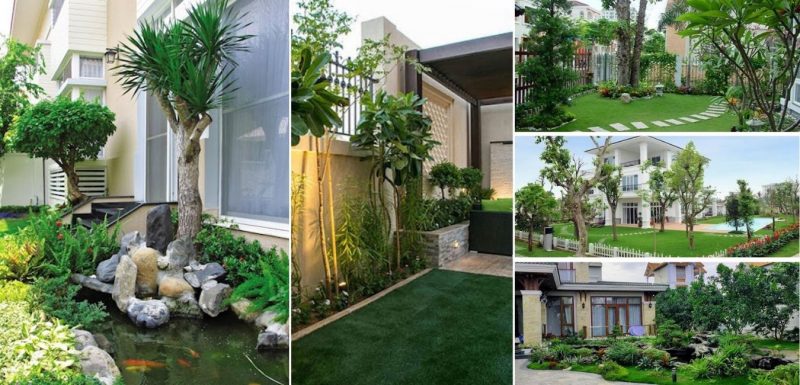 cay canh san vuon biet thu 800x385 - Những loại cây cảnh sân vườn biệt thự phổ biến được trồng hiện nay