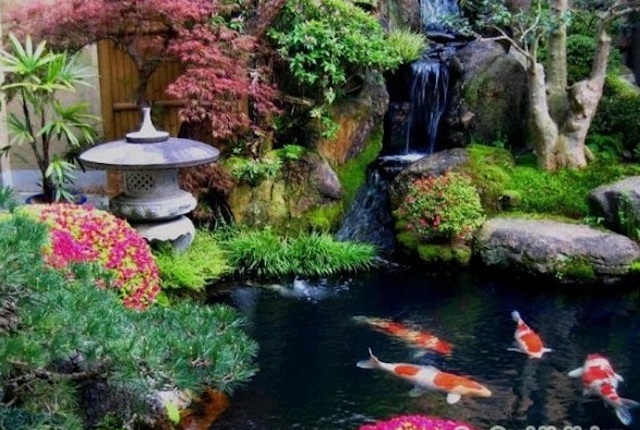 san vuon nhat ban - Thiết kế thi công trọn gói sân vườn Nhật Bản đẹp đẳng cấp