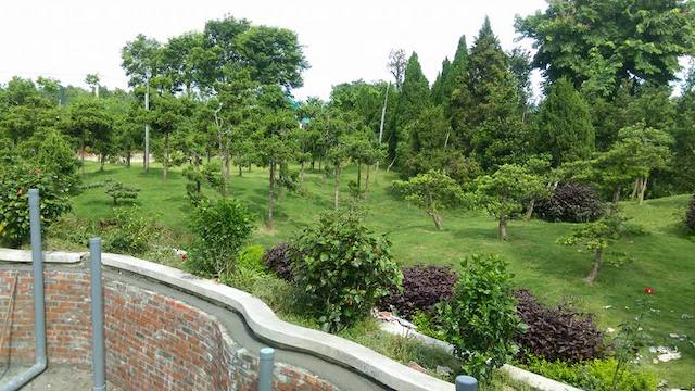 thiet ke san vuon 1000 m2 dep 0010 - Thiết kế sân vườn biệt thự đẹp thi công trọn gói chuyên nghiệp