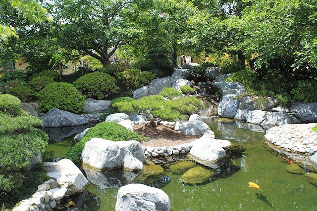 thiet ke san vuon phong cach nhat ban 1024x683 1 - Thiết kế thi công trọn gói sân vườn Nhật Bản đẹp đẳng cấp