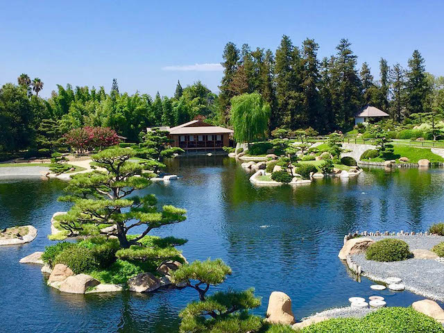 thiet ke thi cong san vuon phong cach nhat ban - Thiết kế thi công trọn gói sân vườn Nhật Bản đẹp đẳng cấp
