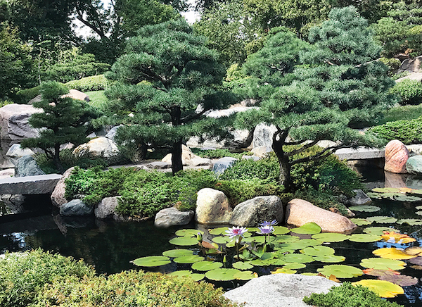 thiet ke tieu canh san vuon nhat ban 003 - Thiết kế thi công tiểu cảnh sân vườn Nhật Bản đẹp ấn tượng