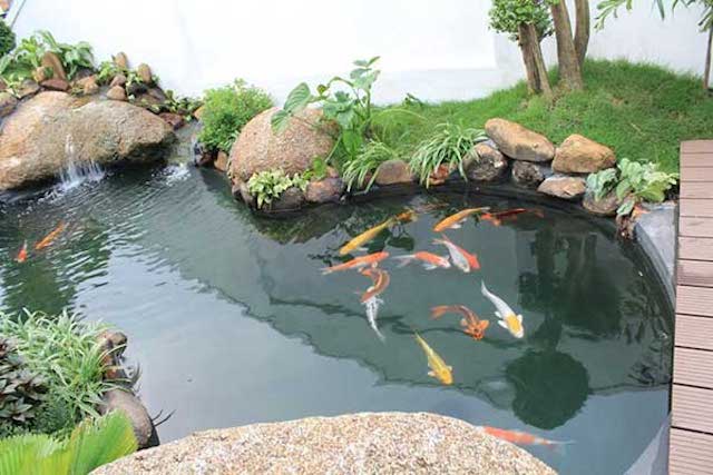 tieu canh san vuon nhat ban 2 - Thiết kế thi công trọn gói sân vườn Nhật Bản đẹp đẳng cấp