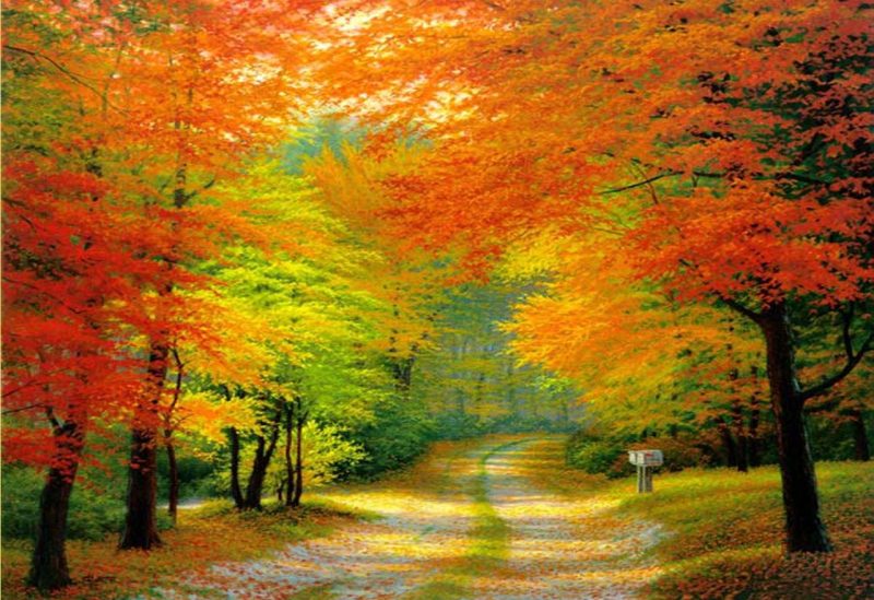 Tranh dán tường kiểu tranh vẽ phong cảnh mùa thu lá vàng T0007