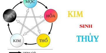 kim sinh thuy la gi 360x180 - Kim sinh thủy là gì? Ứng dụng kim sinh thủy trong đời sống