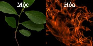 moc sinh hoa la gi 360x180 - Ý nghĩa của Mộc sinh hỏa là gì? Ứng dụng mộc sinh hoả trong đời sống